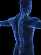 Human Spine x ray closeup