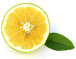 demi-citron demi-citron