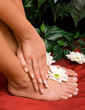 Hand and feet care