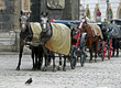 Fiaker in Wien