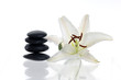 Spa stack stone and Madonna lily