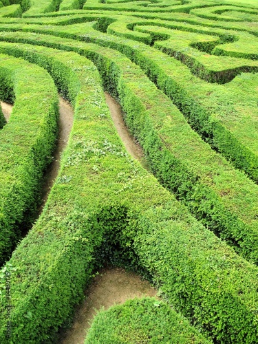 Labyrinth