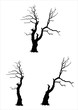 Baum - kahl - Sammlung Baum - kahl - Sammlung