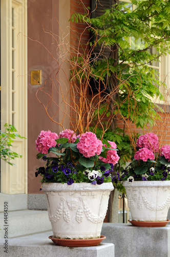 Photo: Elegant Flower Pot in House Entrance Elegant Flower Pot in House Entrance