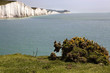 Seven Sisters Country Park Sussex Seven Sisters Country Park Sussex