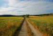 strada umbra