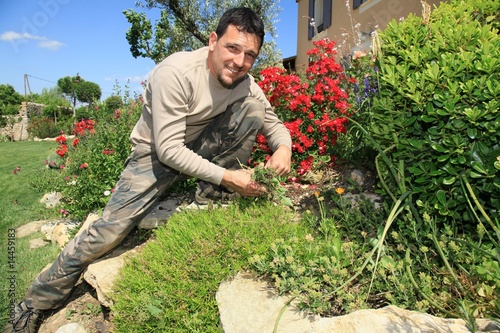 Photo : arracher l'herbe arracher l'herbe