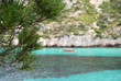 Aiguilles de Pins en méditerranée