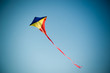 kite in the sky