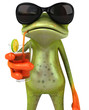 Grenouille en vacances Grenouille en vacances