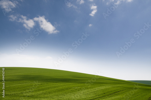 Photo: Green hills Green hills