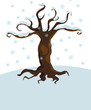 Albero in inverno