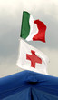 Croce rossa