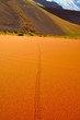 spuren im sand, namib, desert