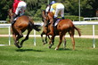 Foto: galopprennen galopprennen