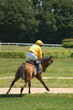 Galopprennen