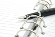 business organizer and pen