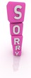 Sorry Sorry
