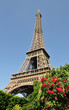 Tour Eiffel, Paris, Fleurs en premier plan Tour Eiffel, Paris, Fleurs en premier plan