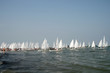 sailing race