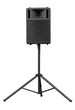 Professional stage loudspeaker