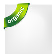 vector green ORGANIC ribbon