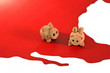 Pig flu