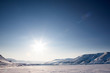 Barren Winter Landscape