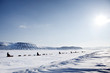 Dog Sled Expedition
