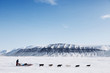Dog Sled Expedition