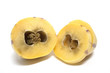 Pepino Pepino