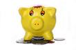 Piggy Bank Piggy Bank