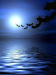 Bats flying over the water