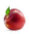 Red Apple