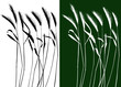 Set of vector grass silhouettes backgrounds for design use