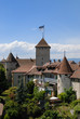 Burg