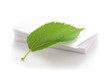 imprimerie écologique - recyclage bois papier - recycler