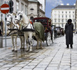 Vienna Horse & kids