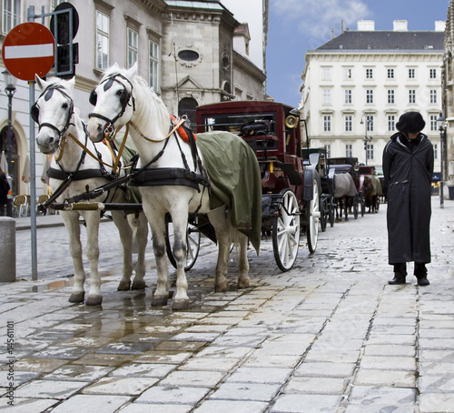 Photo: Vienna Horse & kids Vienna Horse & kids