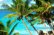 Paradise