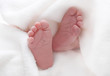 Babys Füße