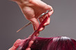 Hairdresser close-up