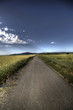 Asphalt road through field Asphalt road through field