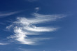 Federwolken am blauen Himmel Federwolken am blauen Himmel