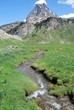 Un ruisseau en Ossau