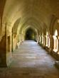 Allée du cloître à l'abbaye de Fontenay