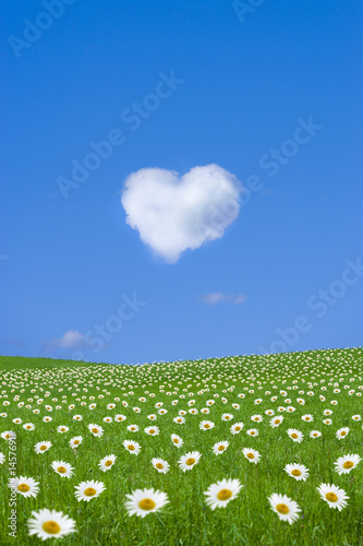 Foto: Wolkenherz Wolkenherz