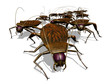 Cockroach Invasion - Bug's View