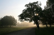 Morgenstimmung
