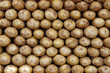 Kartoffeln